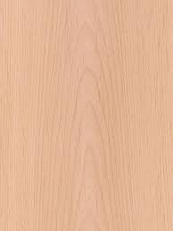 Which Wood Is Best For Making Doors Of Your House And Why?