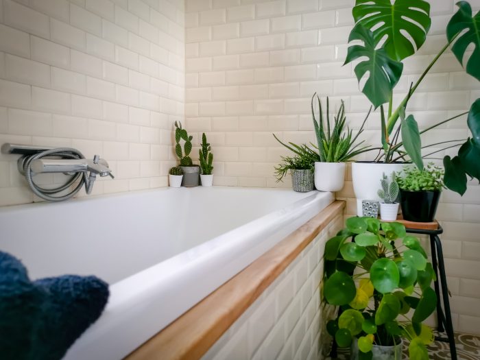 Best Tips to Make Your Bathroom Look More Expensive